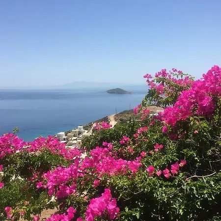 Hotel apartamentowy Andros Prive