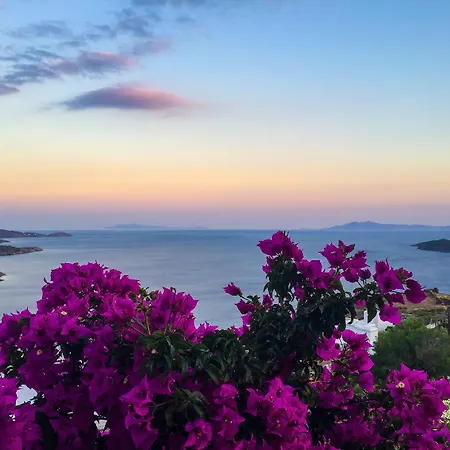 Andros Prive