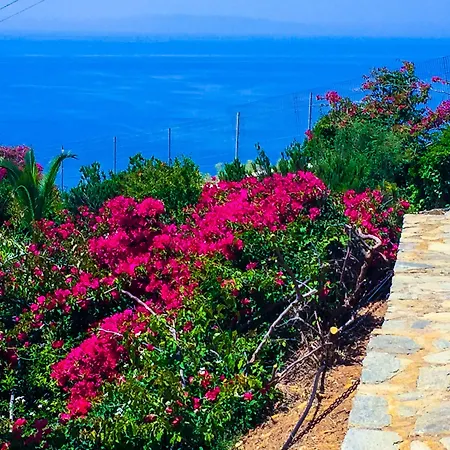 شقة فندقية Andros Prive 3*