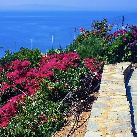 Andros Prive Kipri (Andros)