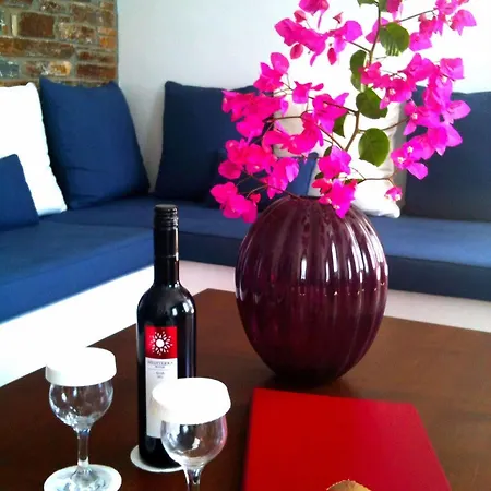شقة فندقية Andros Prive