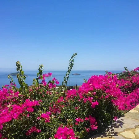 Aparthotel Andros Prive Kipri (Andros)